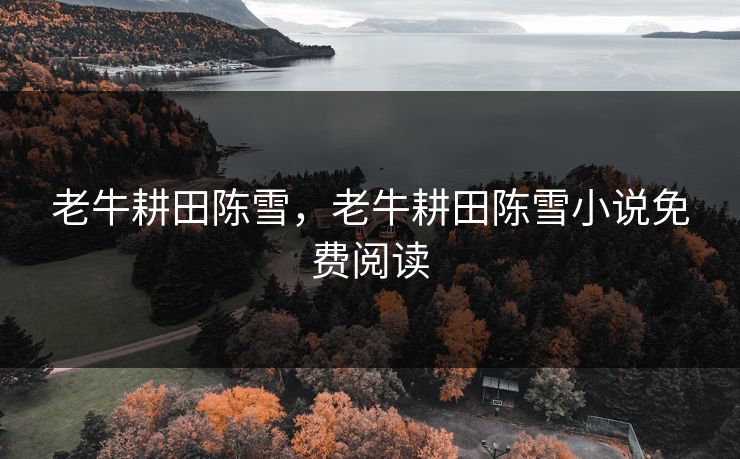 老牛耕田陈雪，老牛耕田陈雪小说免费阅读