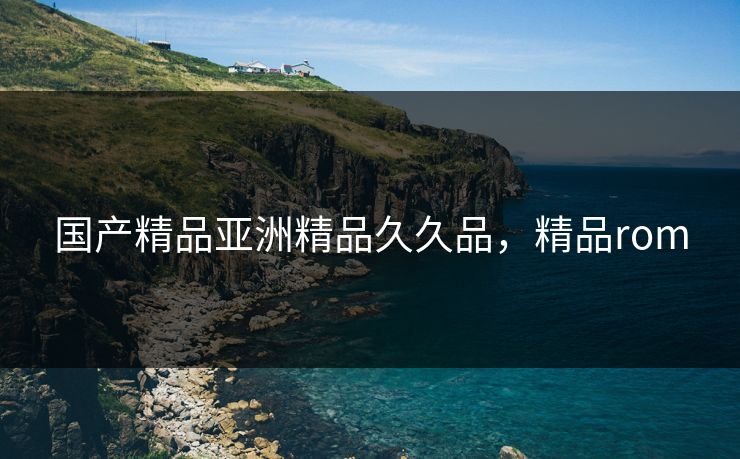 国产精品亚洲精品久久品,精品rom