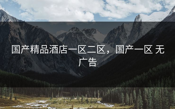 国产精品酒店一区二区,国产一区 无广告
