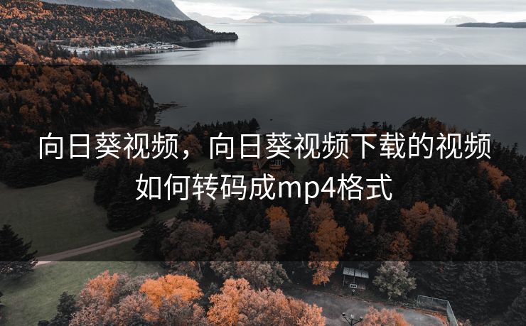 向日葵视频,向日葵视频下载的视频如何转码成mp4格式