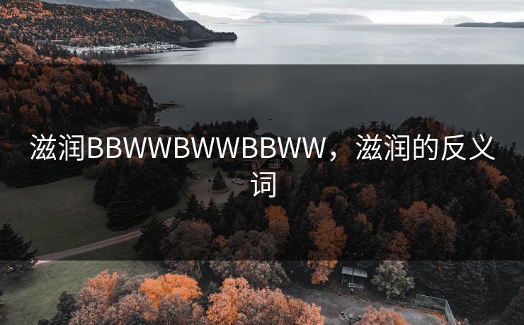 滋润BBWWBWWBBWW,滋润的反义词